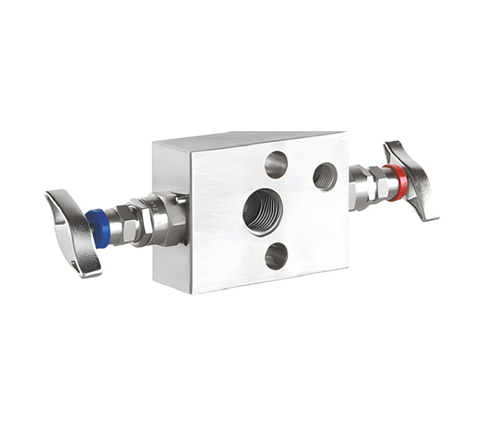 2-Way-Manifold-Valve1