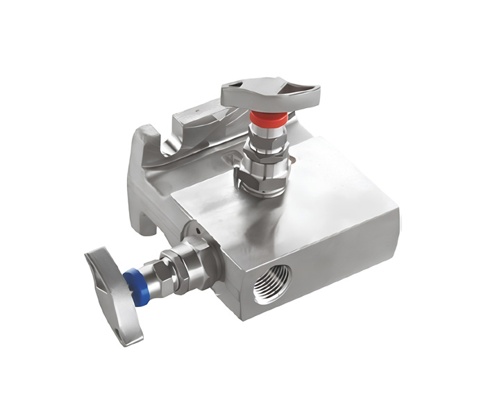 2-Way-Manifold-Valve2