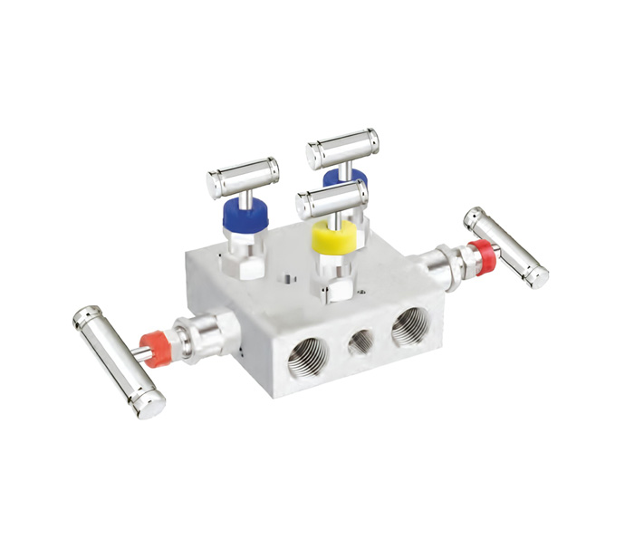 5-Way-Manifold-Valve3