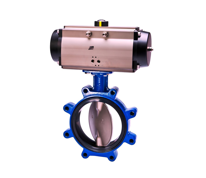 Butterfly-Valve2