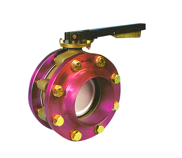 Butterfly-Valve5