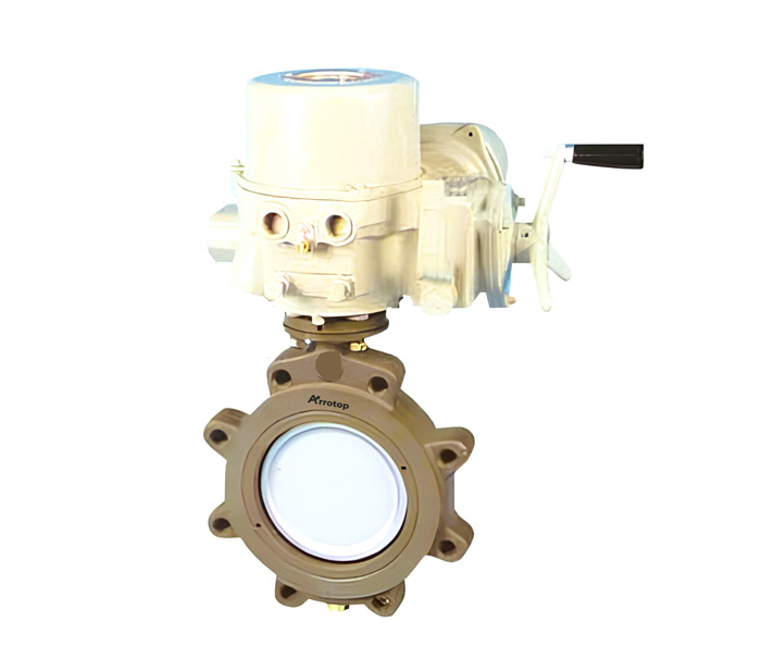 Butterfly-Valve8