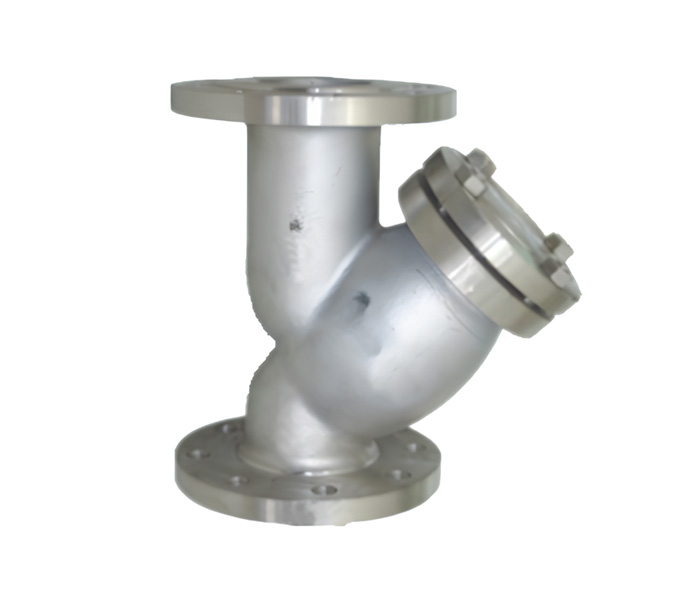 Y-strainer4